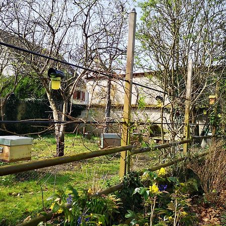 Villa Le Cloky Thomery Εξωτερικό φωτογραφία